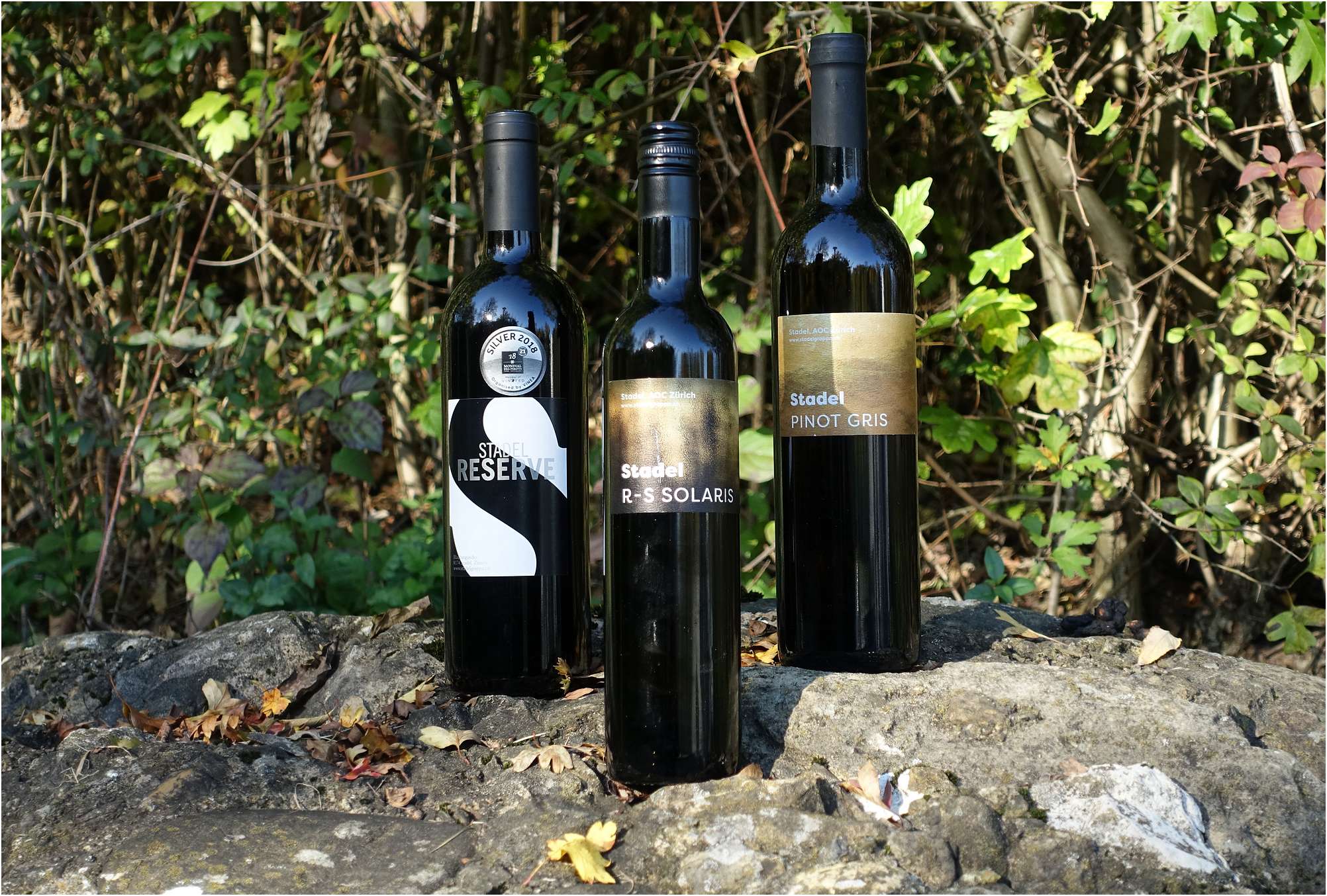 Brechbuehl-Weinered