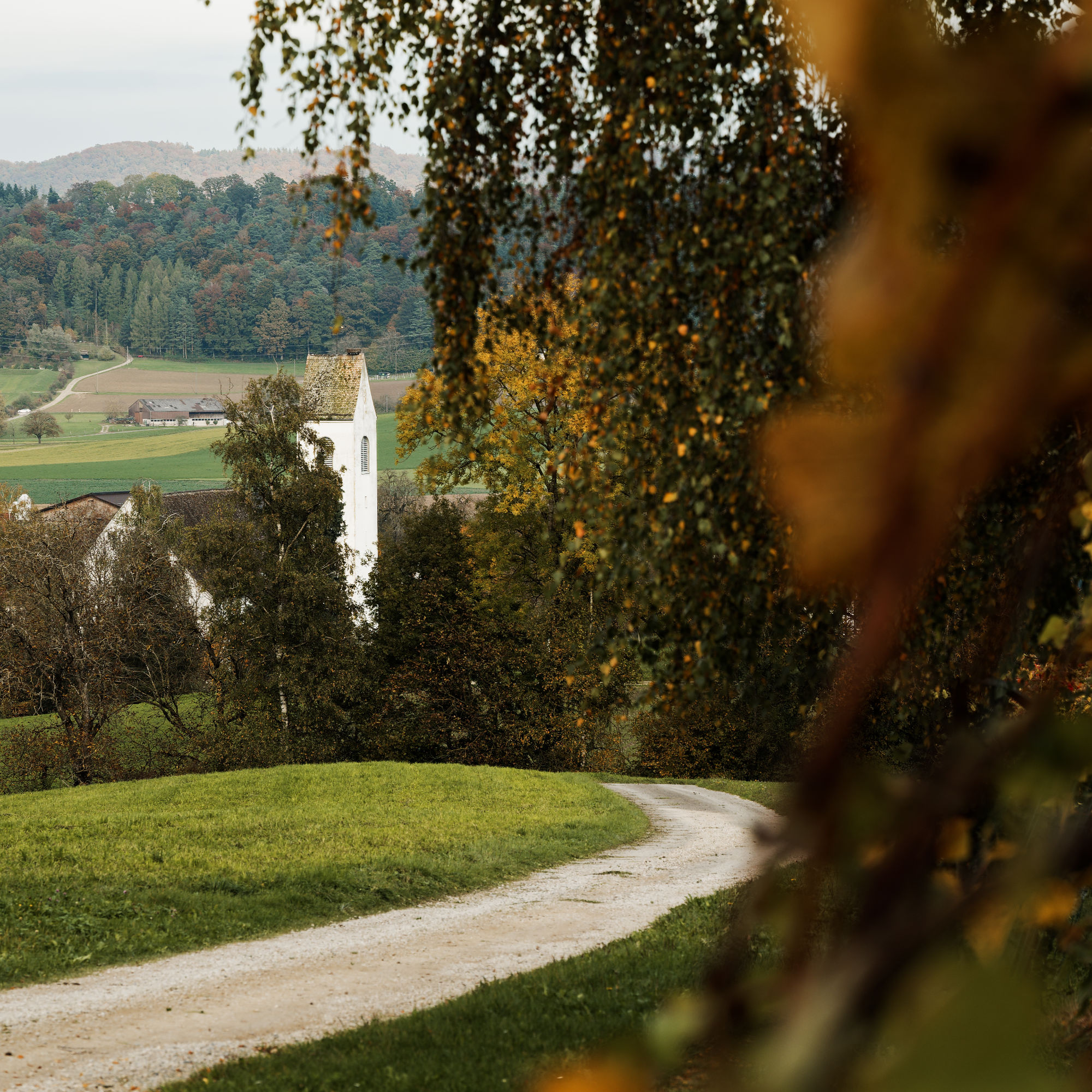 stadelgrappa, Traubenbrand, Wein, Rotwein, Weisswein, Grappa, Grappolino, Pinot Gris, Pinot Noir, Solaris, Riesling Silvaner, Fass